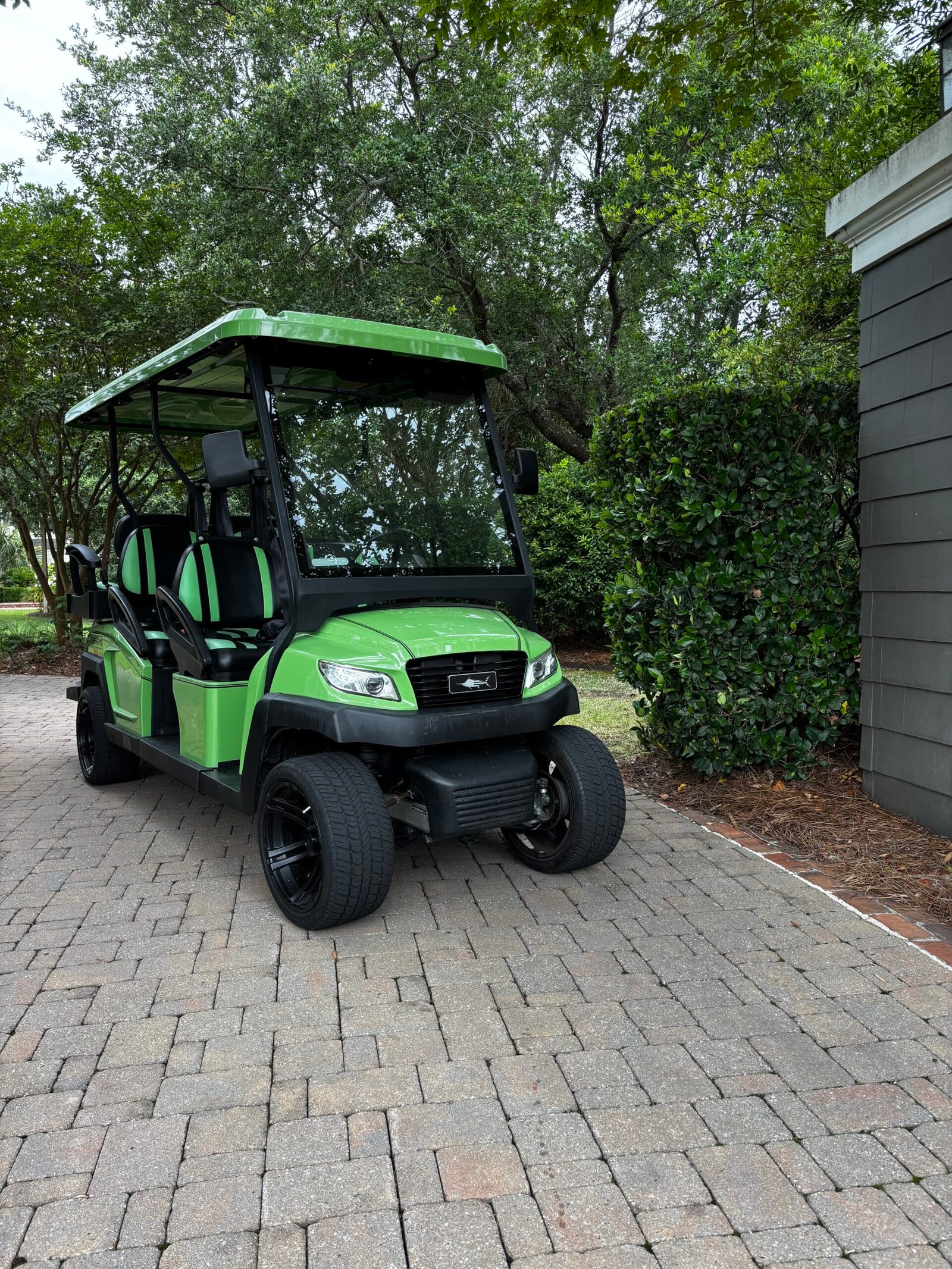 Mint green six-passenger golf cart in front of a Lowcountry beach house with palms